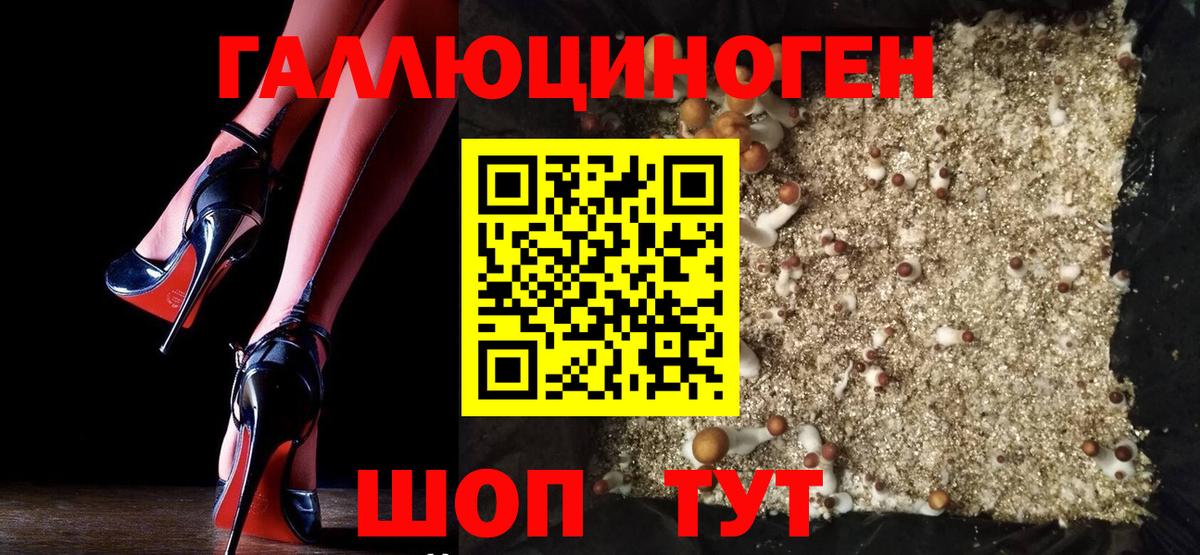 Нальчик  Галлюциногенные грибы мухоморы  Вход с VPN 