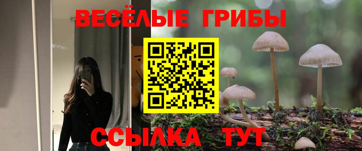 Галлюциногенные грибы мухоморы Нальчик